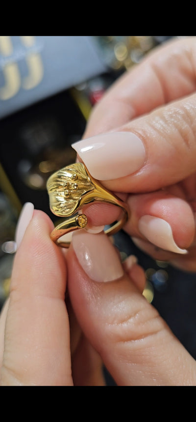 Jewelry Jar All Rings – Mystery Jewelry Jar – Gold Plated Stainless Steel Jewelry